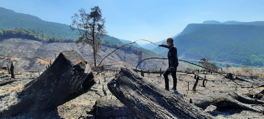 Vụ cháy hơn 32 ha rừng phòng hộ ở Quảng Nam có liên quan đến Giám đốc Ban quản lý rừng (24/5/2020)
